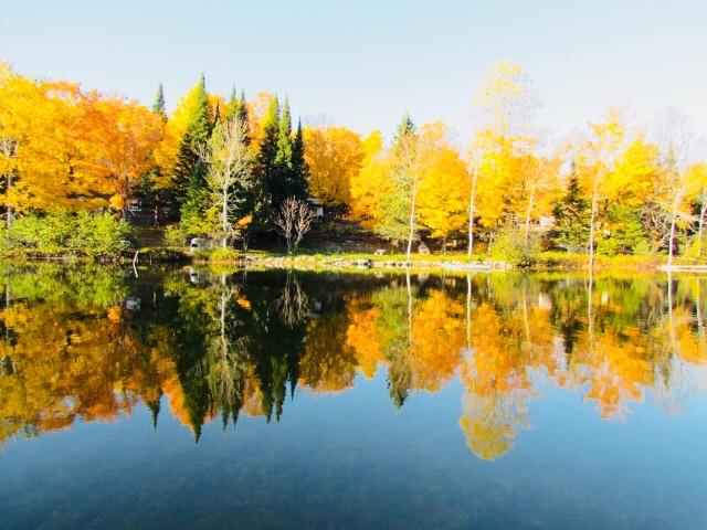 autumn