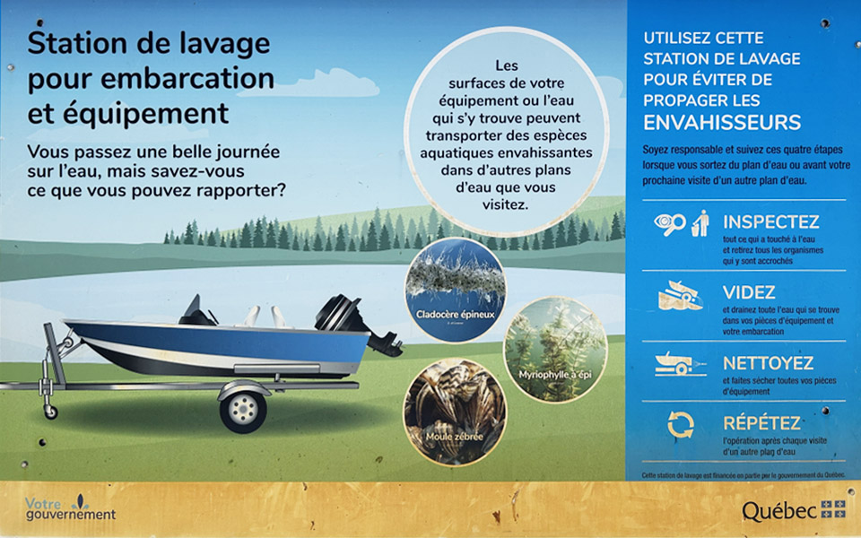 enseinglavage