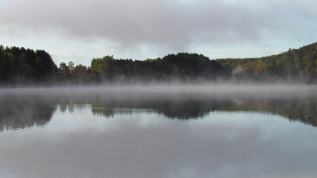 foggy morning