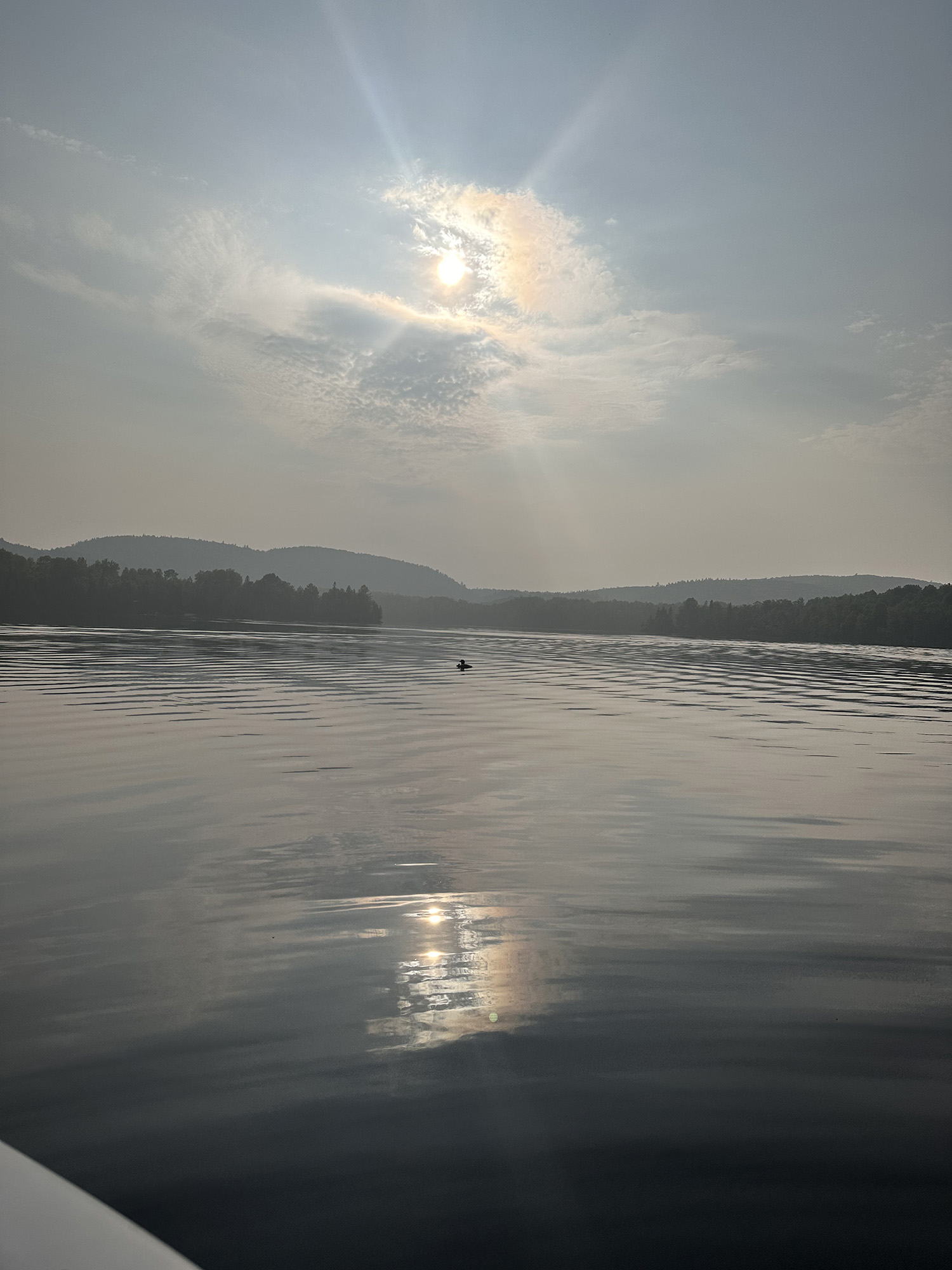 lac long loon