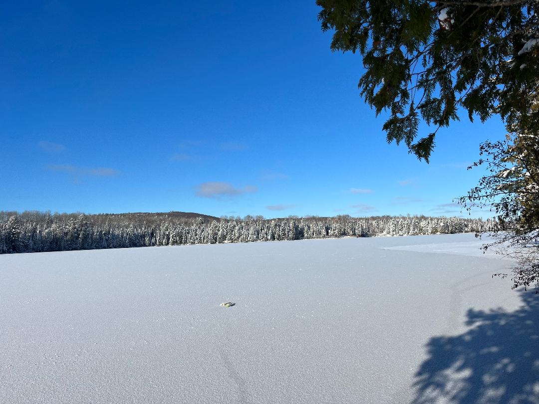 winter lac long